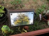 image of grave number 362021